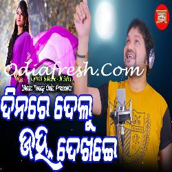 Dinare Delu Janha Dekhei